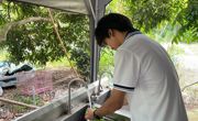 电子信息工程学院开展“野趣青春·共赴自然”团建活动