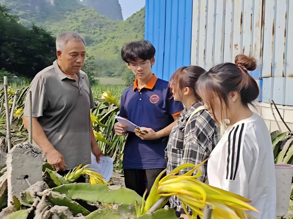 米兰师生深耕田间一线调研，智能光伏赋能火龙果产业提质增效