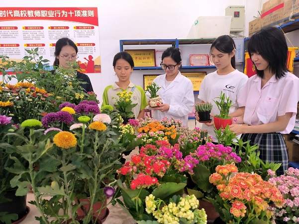 学生精心挑选绿植