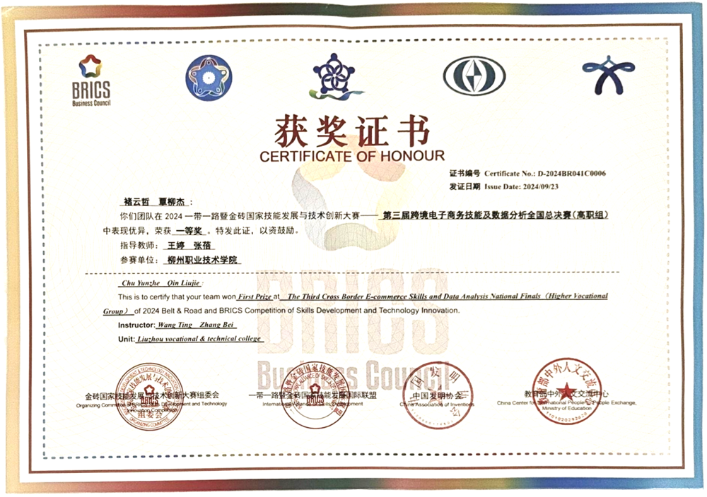 2024 Belt and Road and BRICS Skills Development and Technology Innovation Competition
