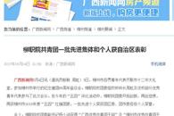 【广西新闻网】柳职院共青团一批先进集体和个人获自治区表彰