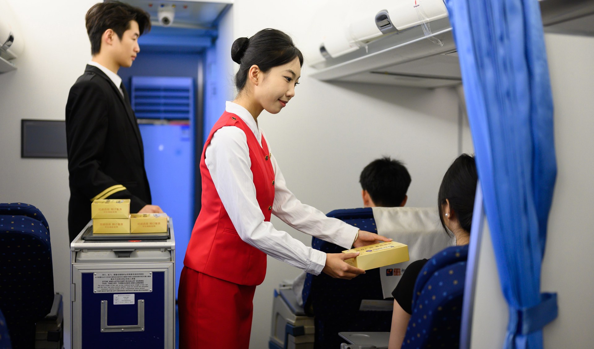 校园紫荆花盛开