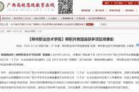 【广西高校思政教育在线】柳职共青团连获多项区级表彰