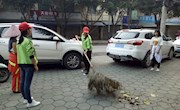【新时代 新青年】贸易与旅游管理学院与环境与食品工程学院联合举办“青年在行动 柳职青年送温暖”志愿服务活动