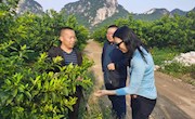 【访企拓岗促就业】校领导率队赴柳州市柳江区农业农村综合发展服务中心调研