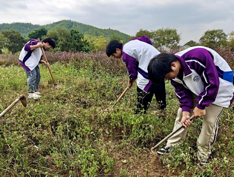 beb2a91bbe926a2f780a8d1b1e5c338b