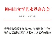 喜讯：米兰对口帮扶村三江牙寨村获评柳州市“文艺村”