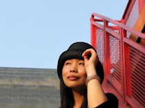 陆进